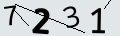 verifycode